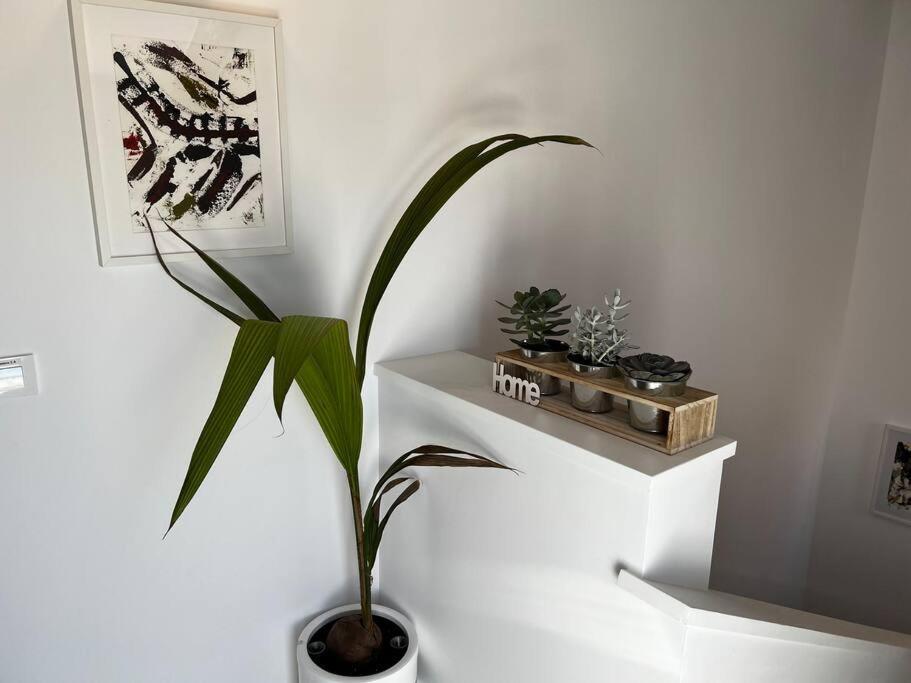 2B-Precioso Apartamento En Pleno Centro. A Estreno Alcazar de San Juan Exteriör bild